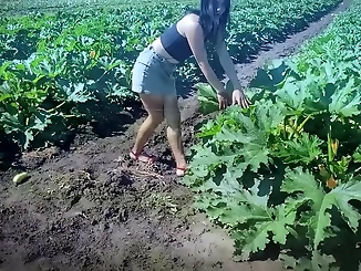 Japanese Babe Stokes Tractor driver's Plantation with Huge Dildo - Must See!