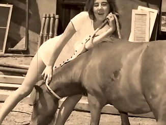 Warning: Vintage Taboo - Sexy Pussy & Cute Pooch