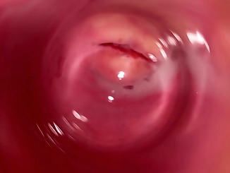 Experience the Ultimate Internal View of a Tight Creamy Vagina from a Dick's POV is the current title